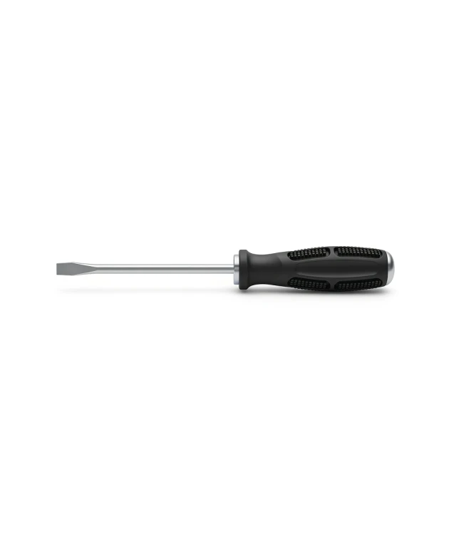 Main-photo-4.png