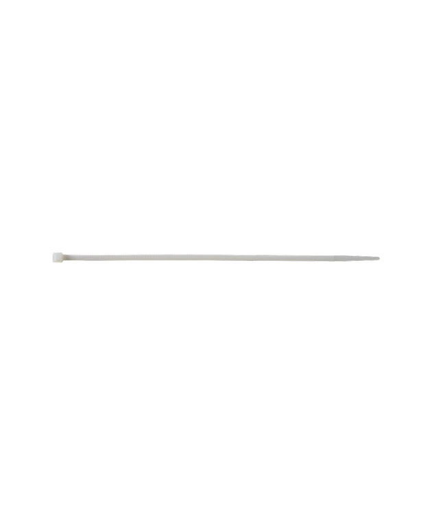 Main-photo-3.png