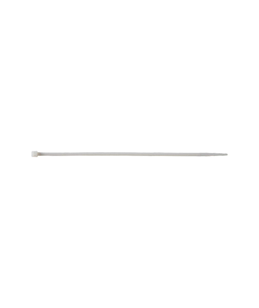 Main-photo-3.png